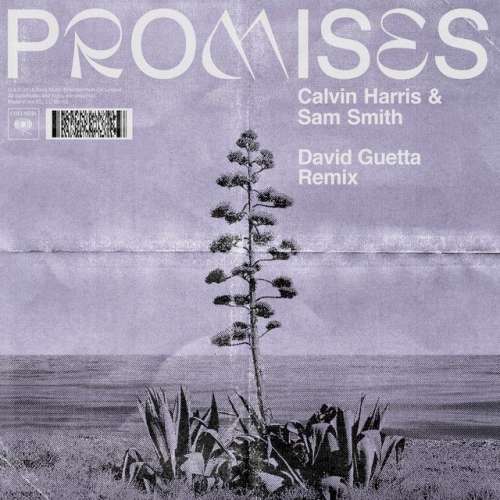 Promises - David Guetta Remix